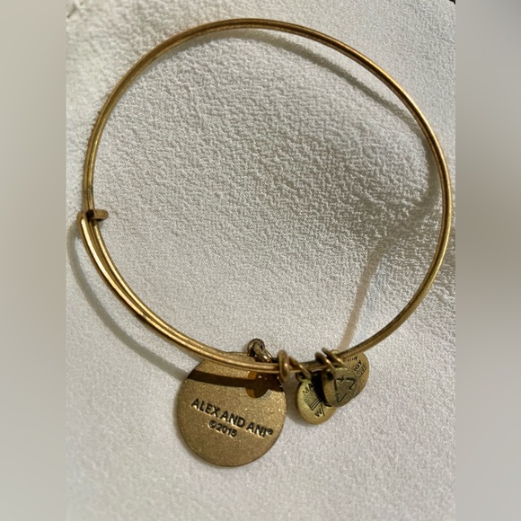 Lot of 14 ALEX & ANI meaningful bracelets, entire lot $121 (total value of $797) - Picture 4 of 14